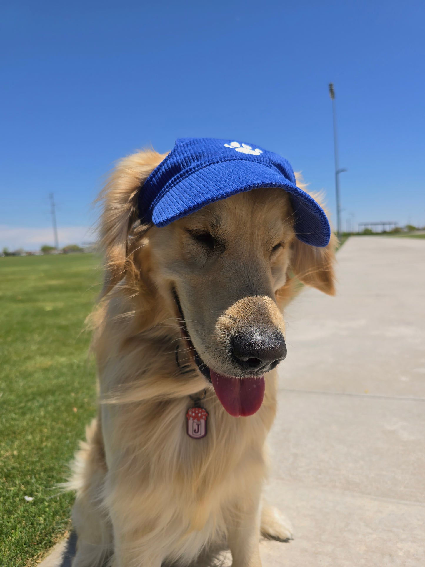 Outdoor Dog Hat