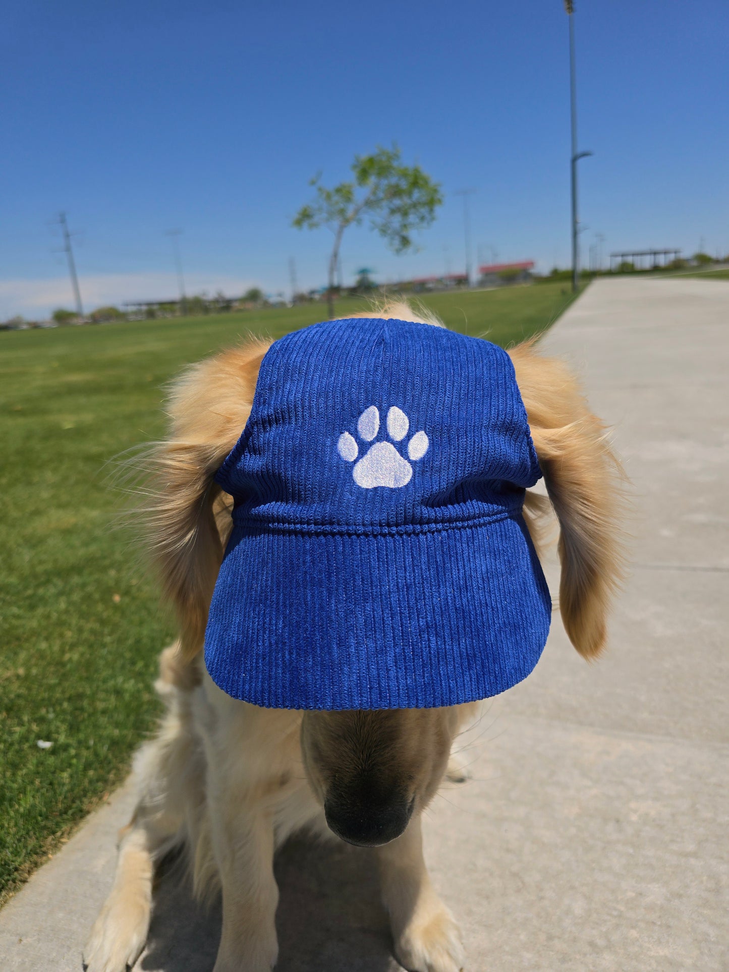 Outdoor Dog Hat