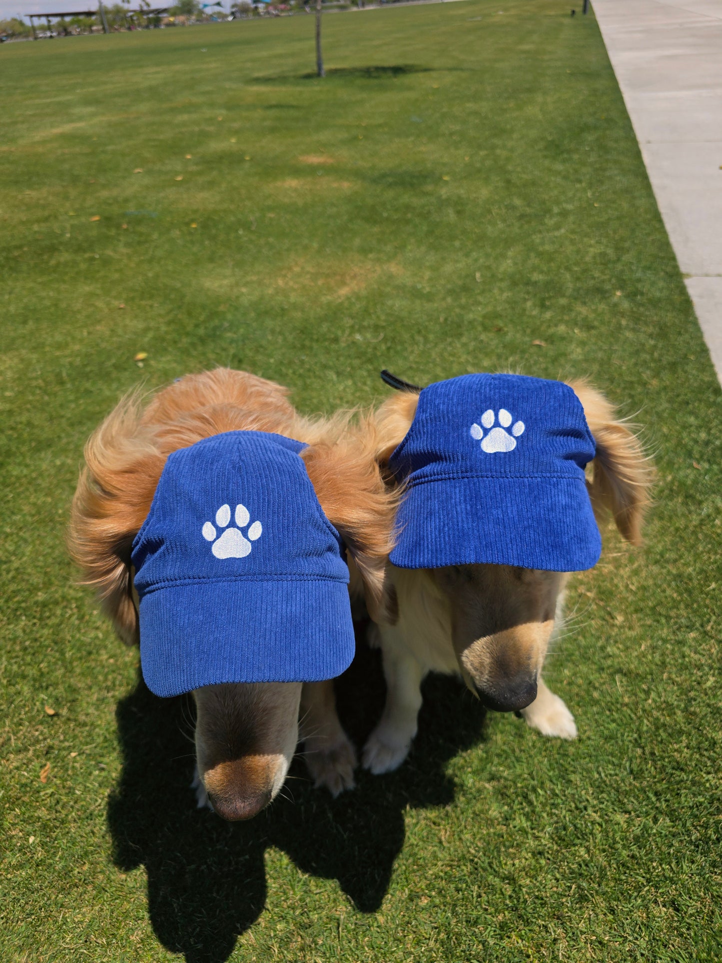 Outdoor Dog Hat