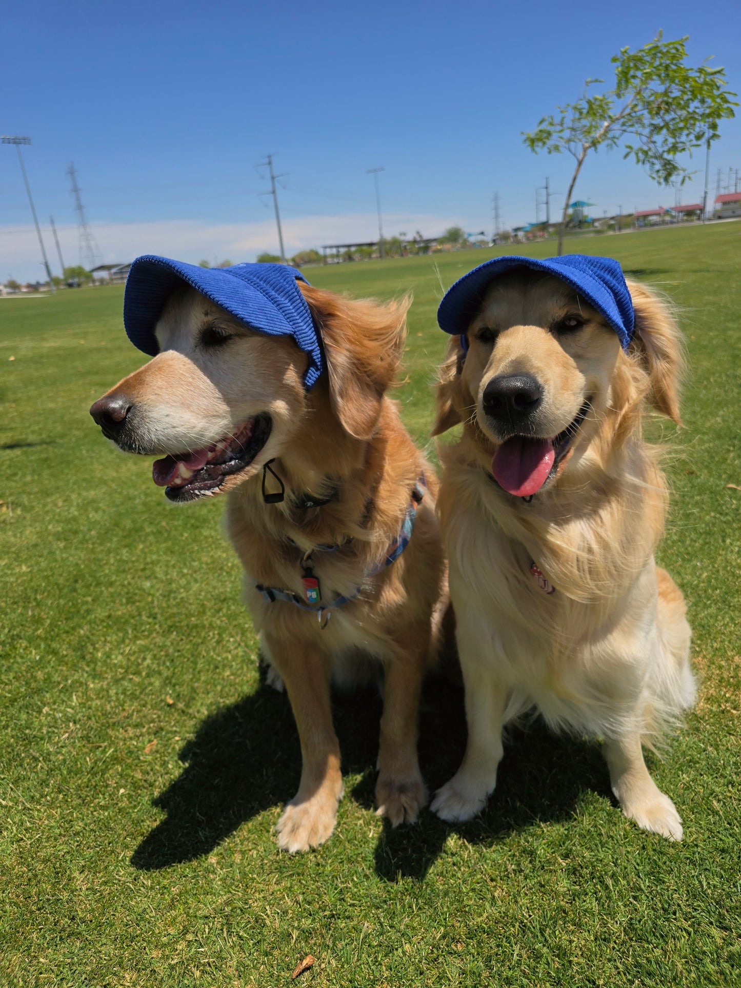 Outdoor Dog Hat
