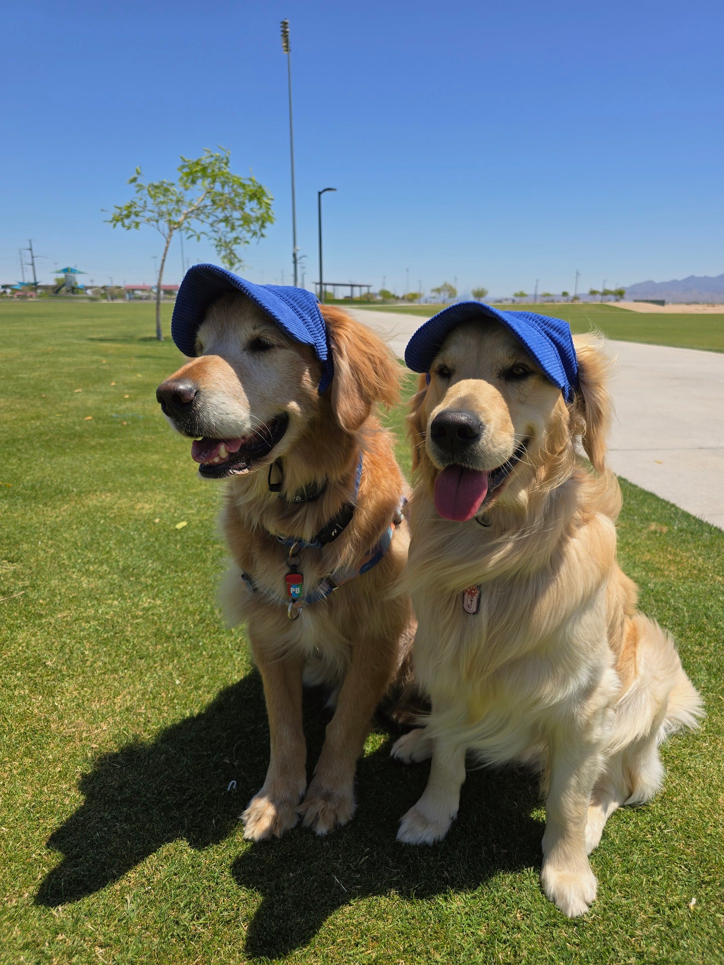 Outdoor Dog Hat