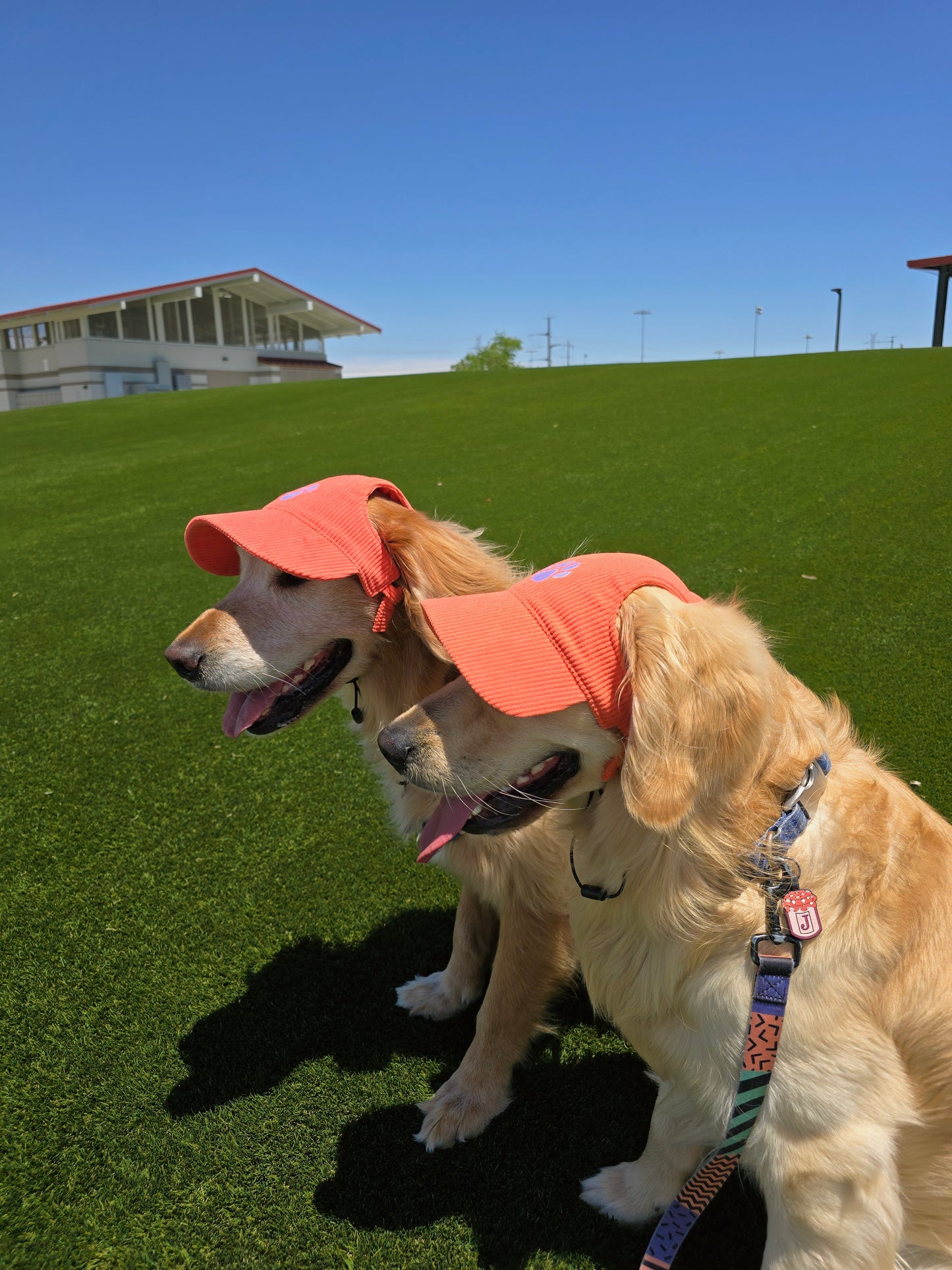 Outdoor Dog Hat
