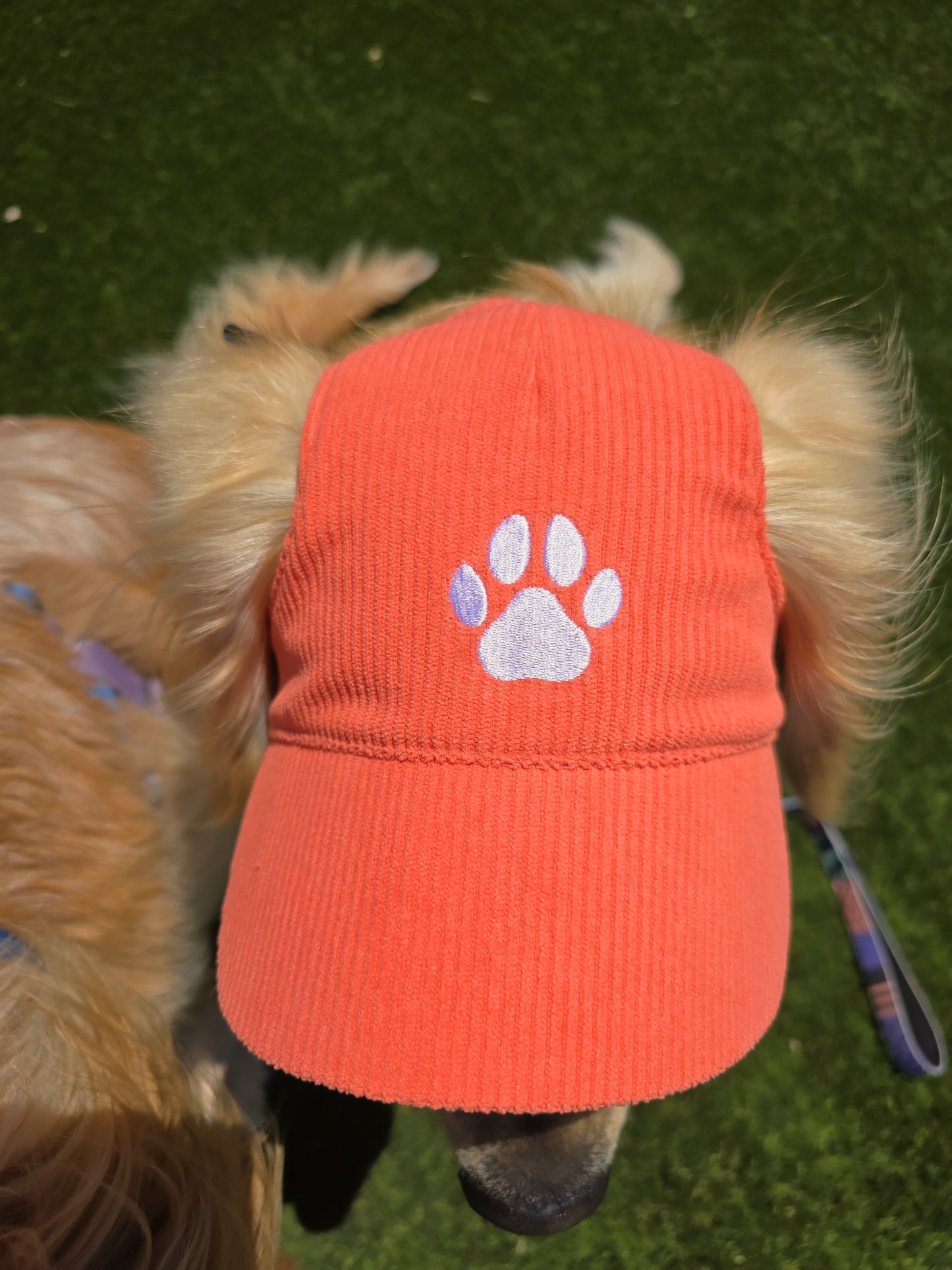 Outdoor Dog Hat