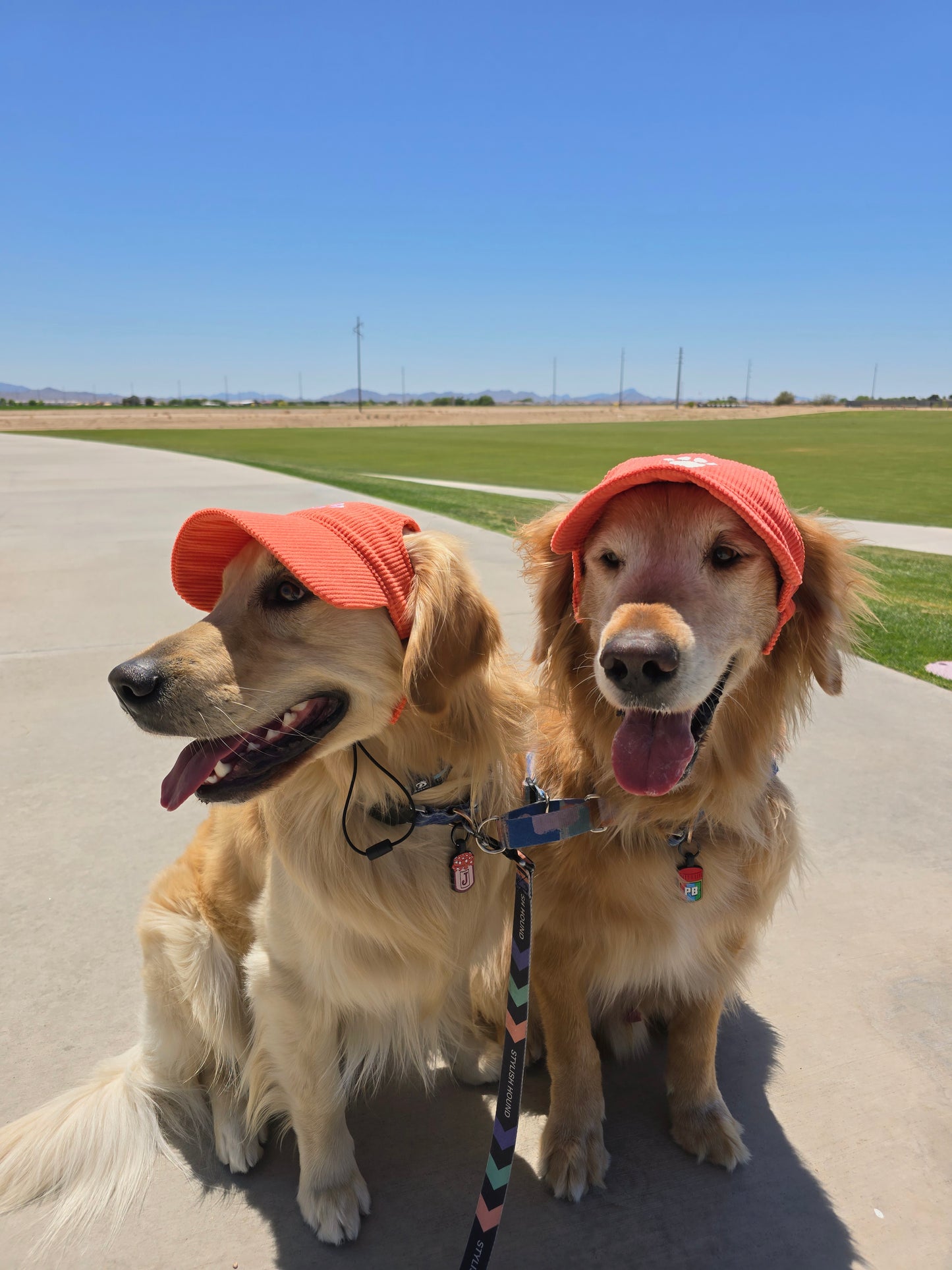 Outdoor Dog Hat