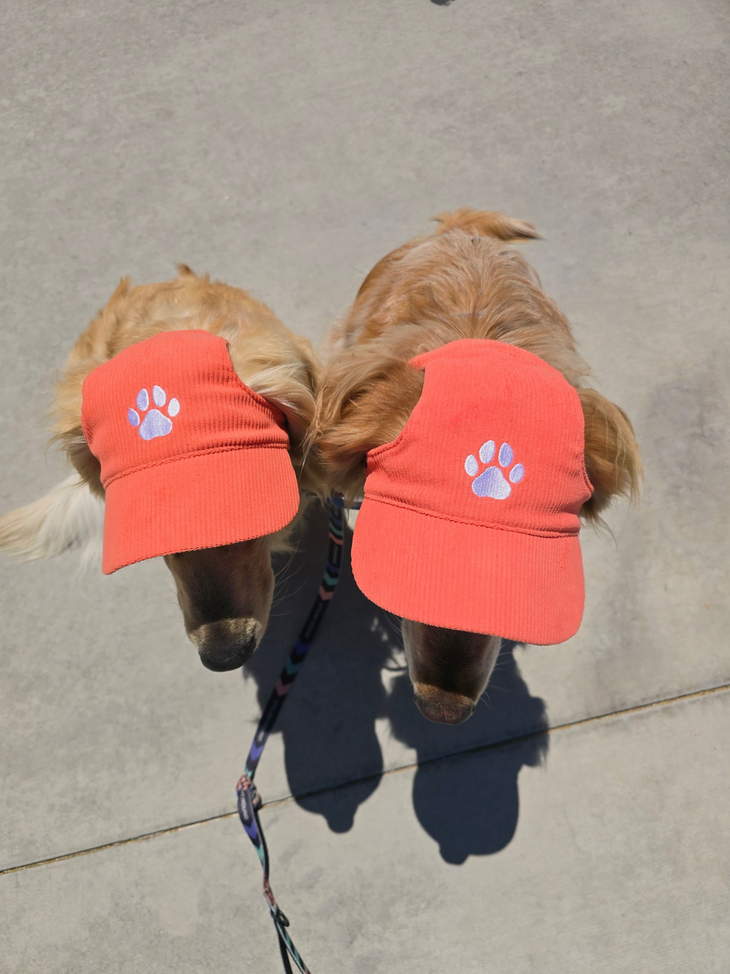 Outdoor Dog Hat