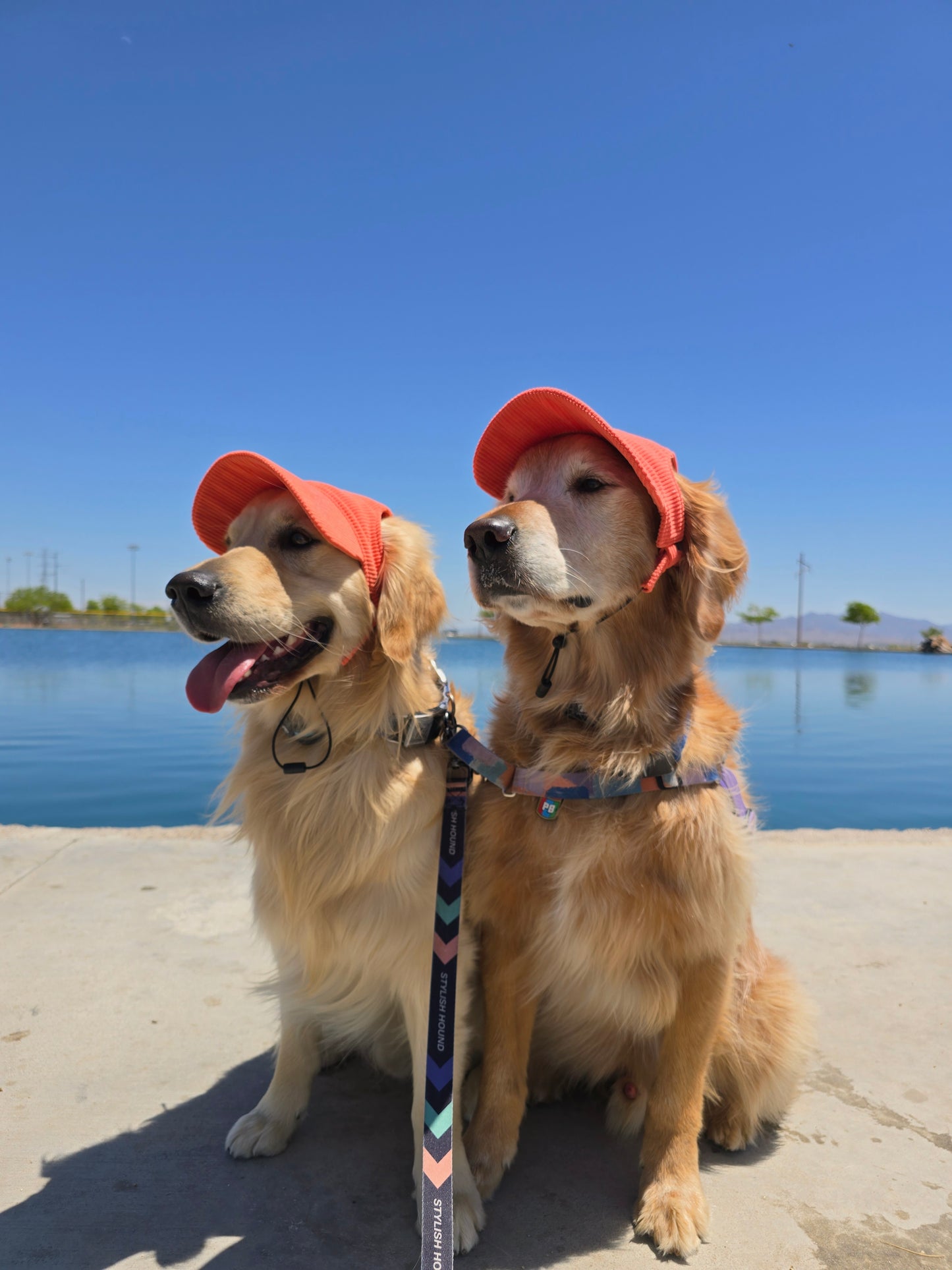 Outdoor Dog Hat