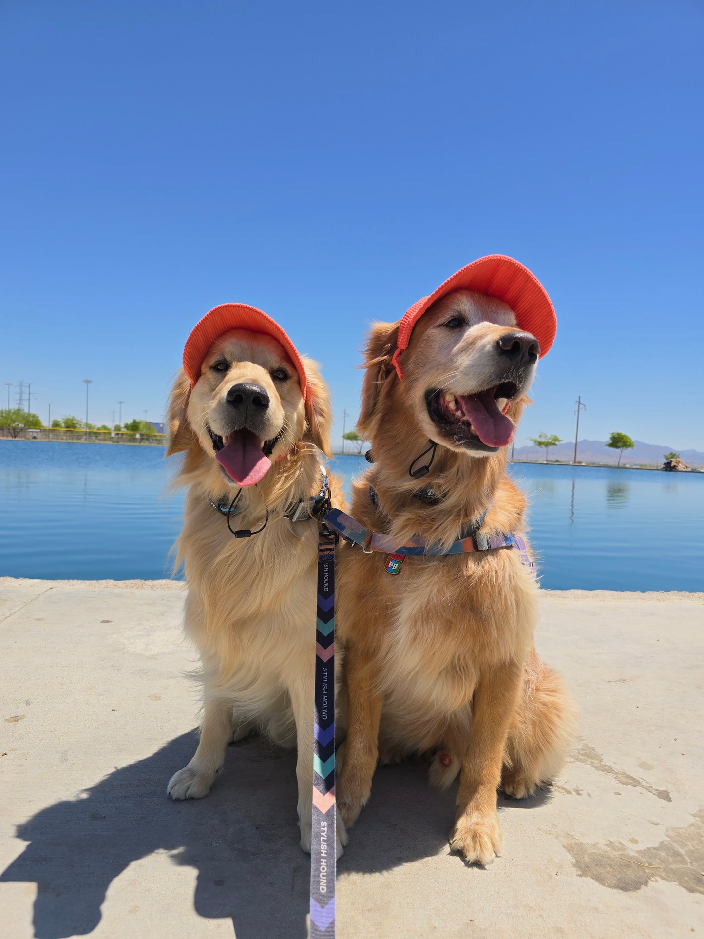 Outdoor Dog Hat