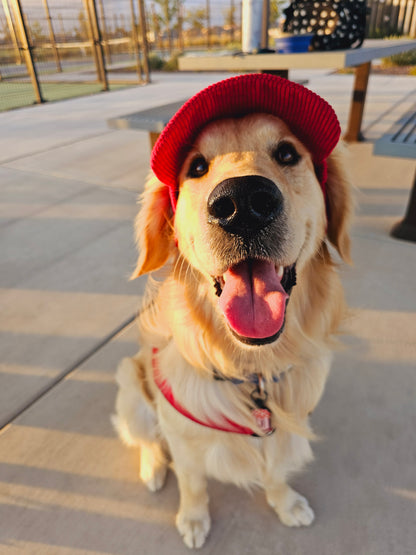 Outdoor Dog Hat