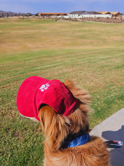 Outdoor Dog Hat