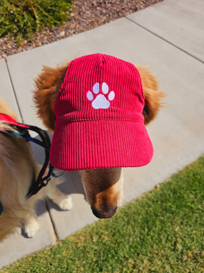 Outdoor Dog Hat