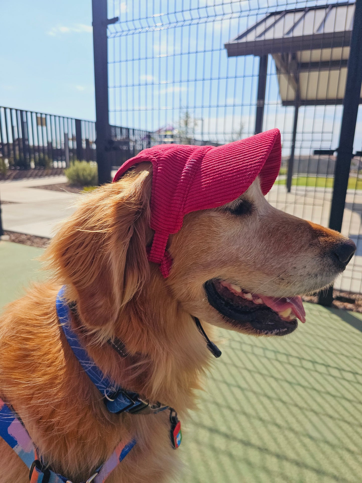 Outdoor Dog Hat