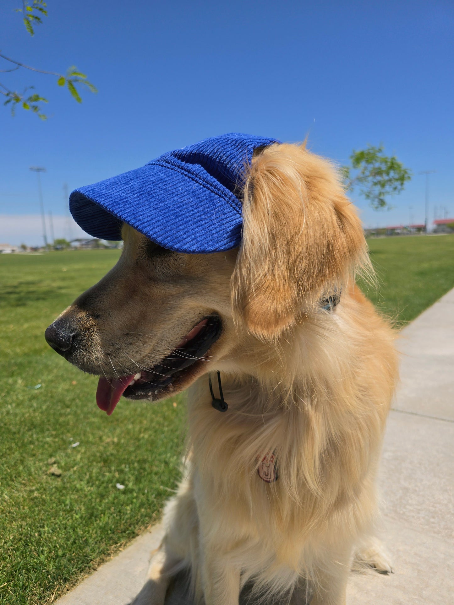 Outdoor Dog Hat