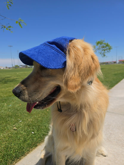 Outdoor Dog Hat