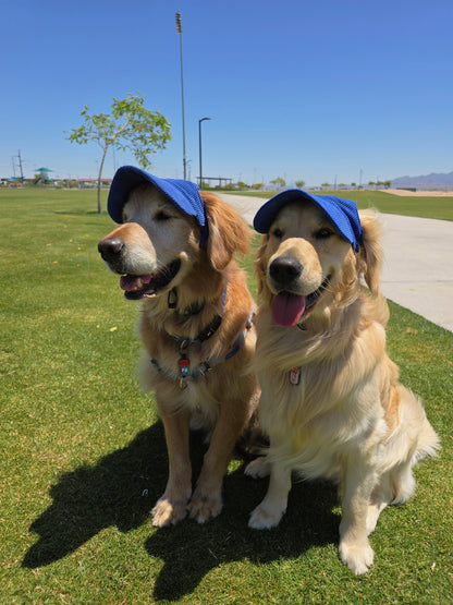 Outdoor Dog Hat