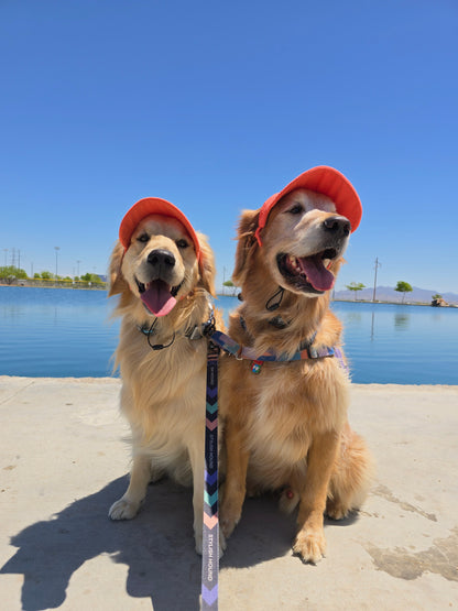 Outdoor Dog Hat