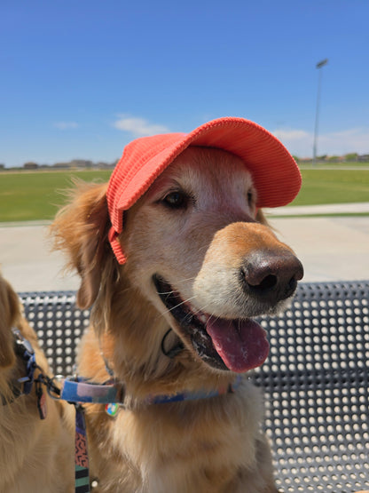 Outdoor Dog Hat