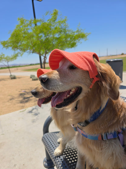 Outdoor Dog Hat