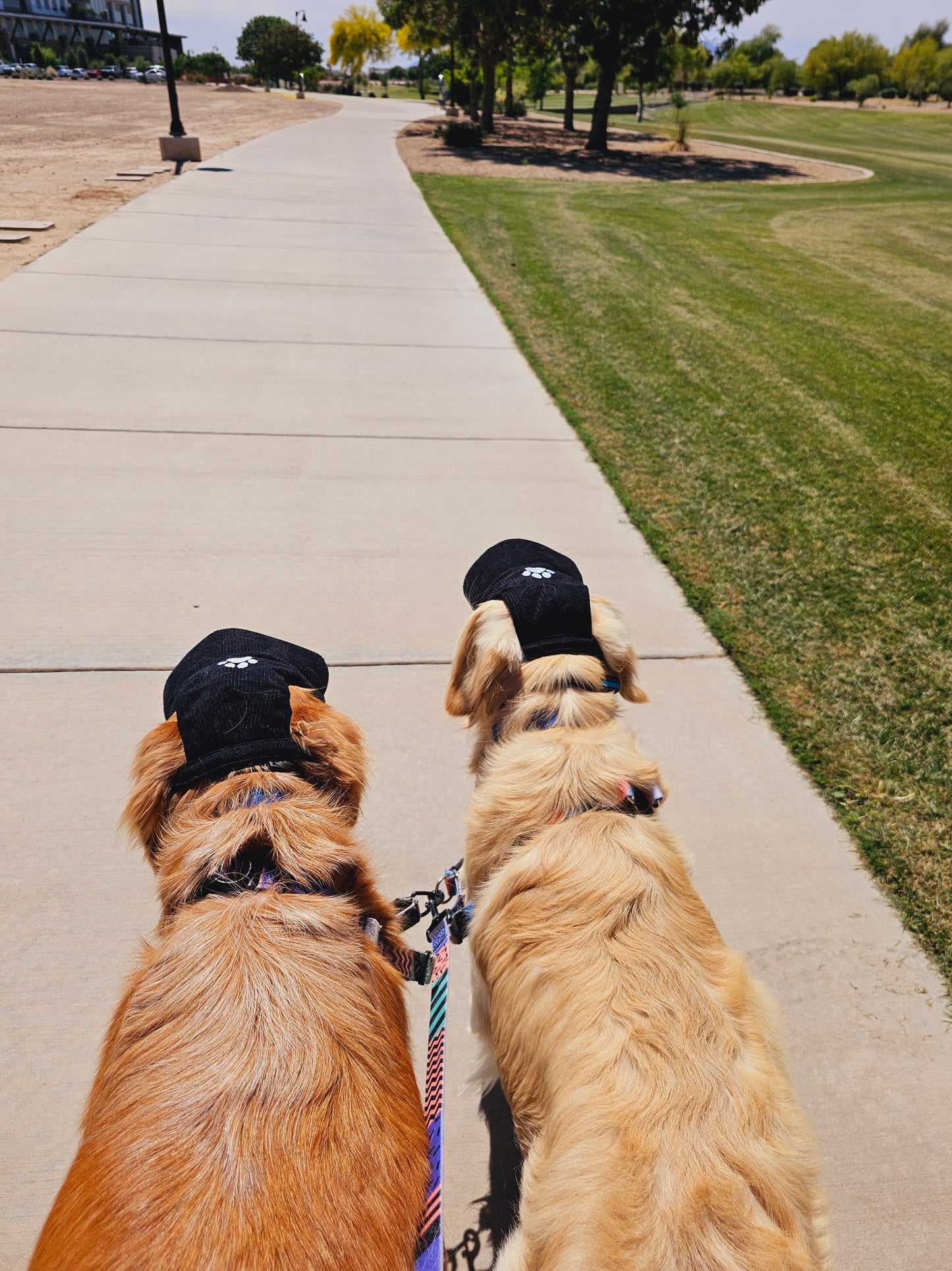 Outdoor Dog Hat