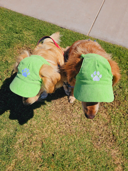 Outdoor Dog Hat