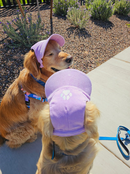 Outdoor Dog Hat