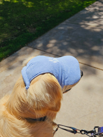 Outdoor Dog Hat