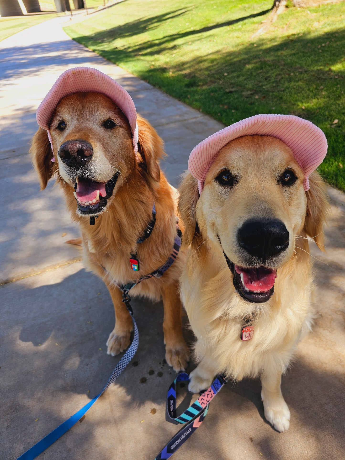 Outdoor Dog Hat