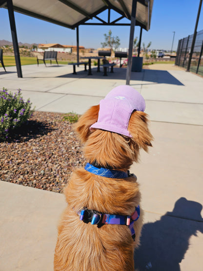 Outdoor Dog Hat