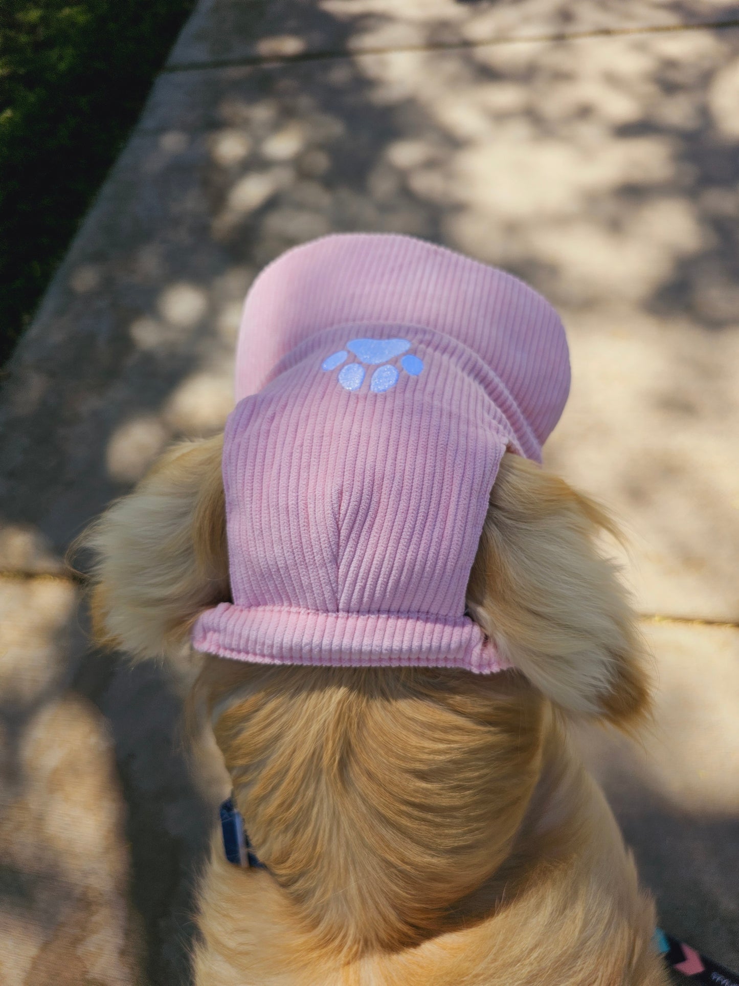 Outdoor Dog Hat