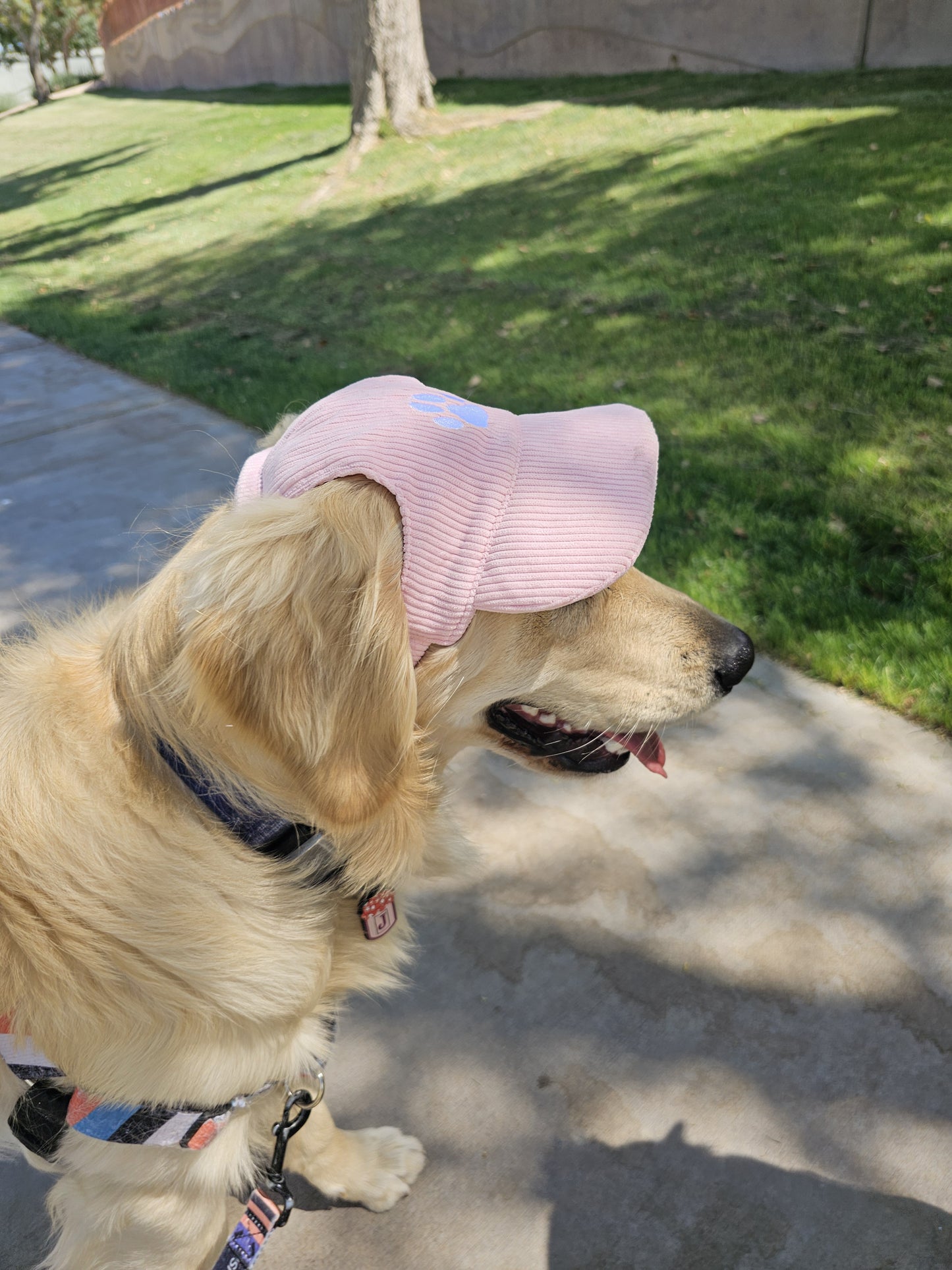 Outdoor Dog Hat