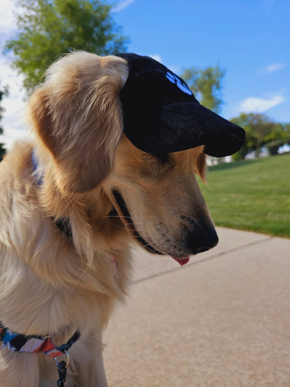 Outdoor Dog Hat