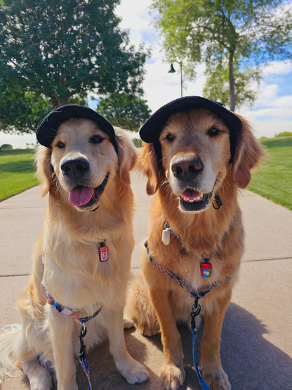 Outdoor Dog Hat