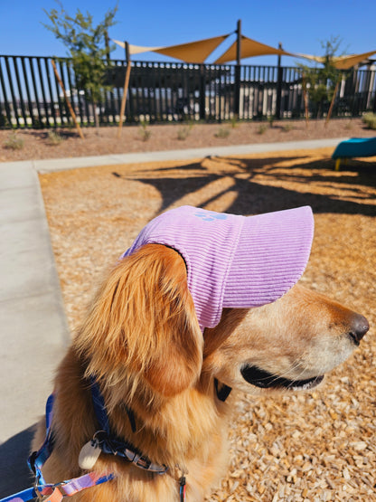 Outdoor Dog Hat