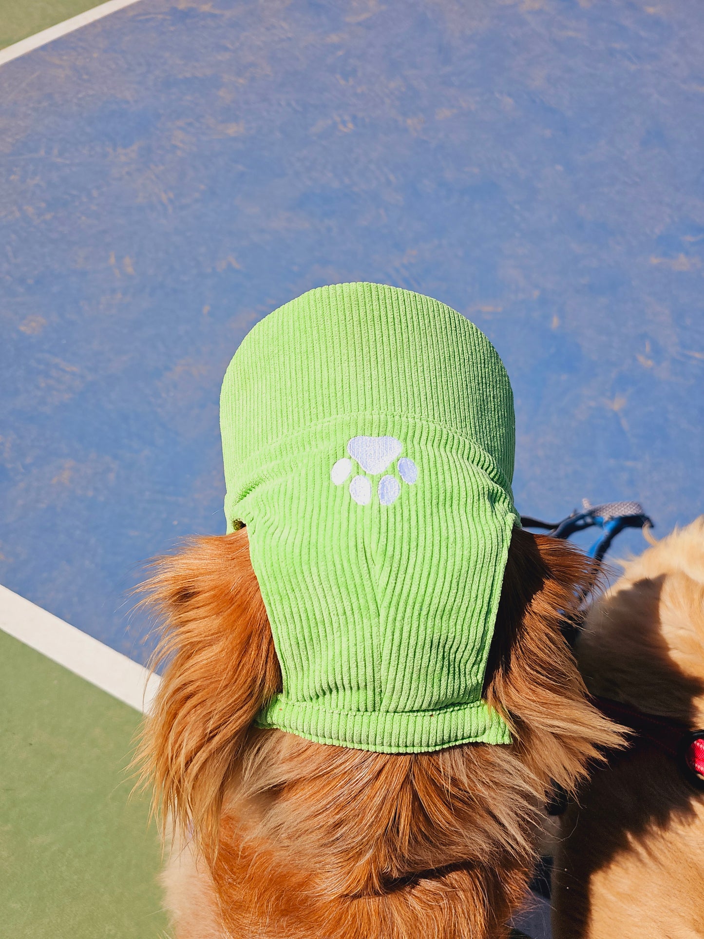 Outdoor Dog Hat