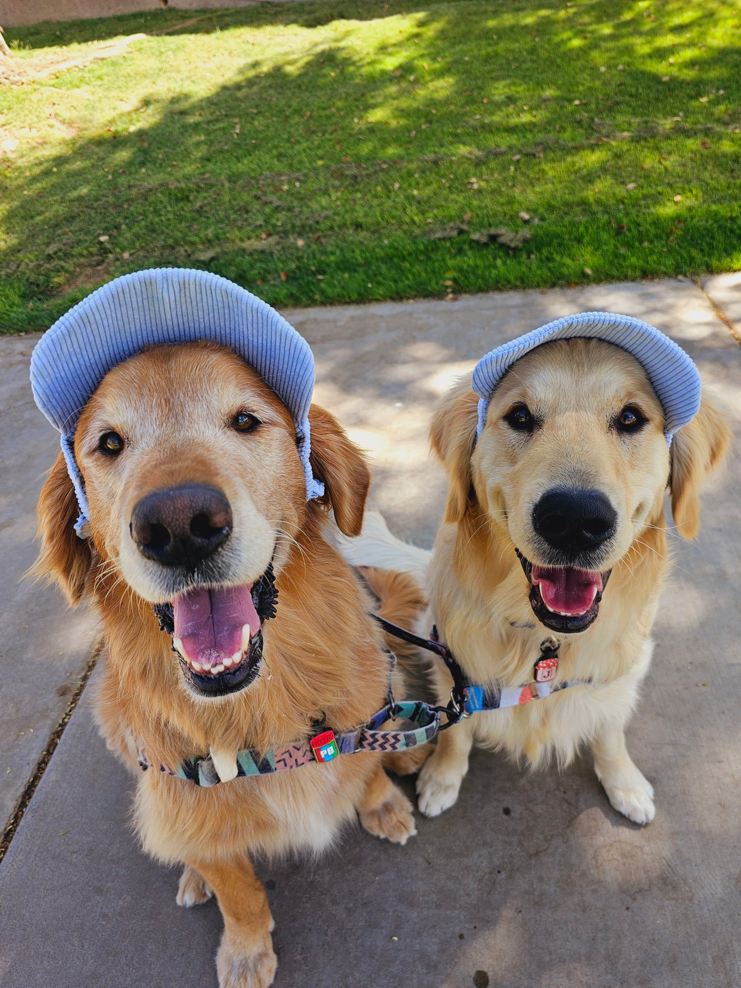 Outdoor Dog Hat