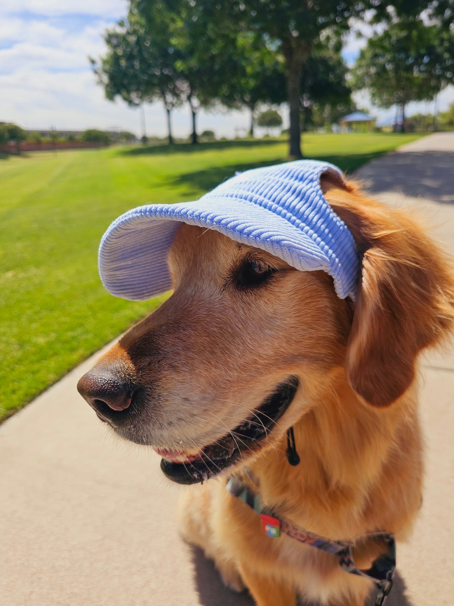 Outdoor Dog Hat