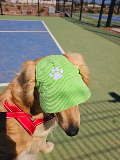 Outdoor Dog Hat