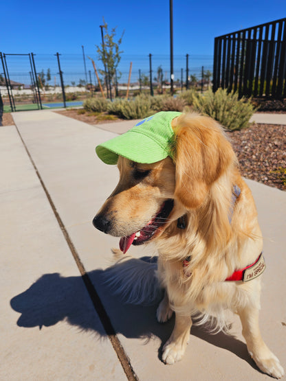 Outdoor Dog Hat