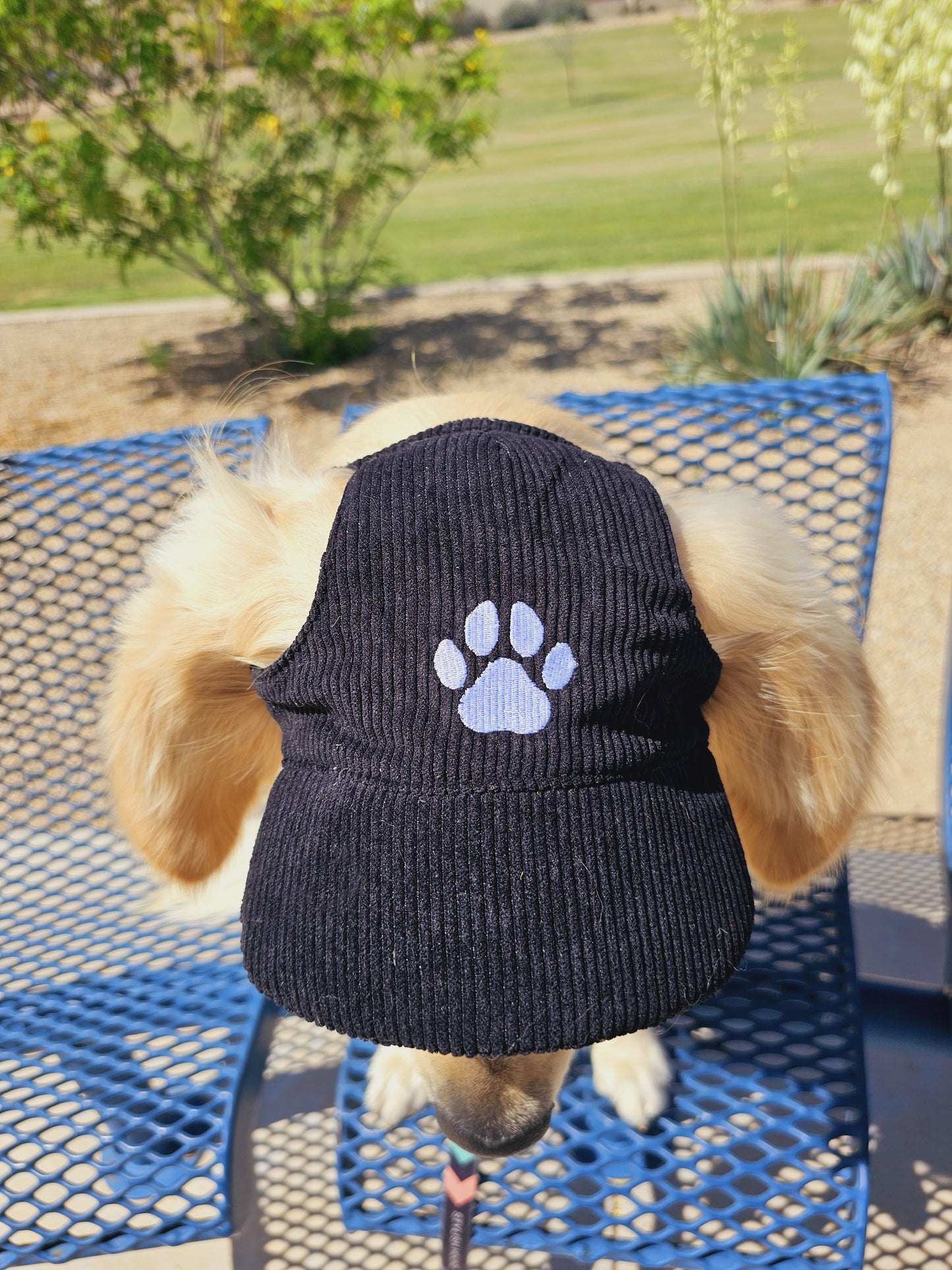 Outdoor Dog Hat